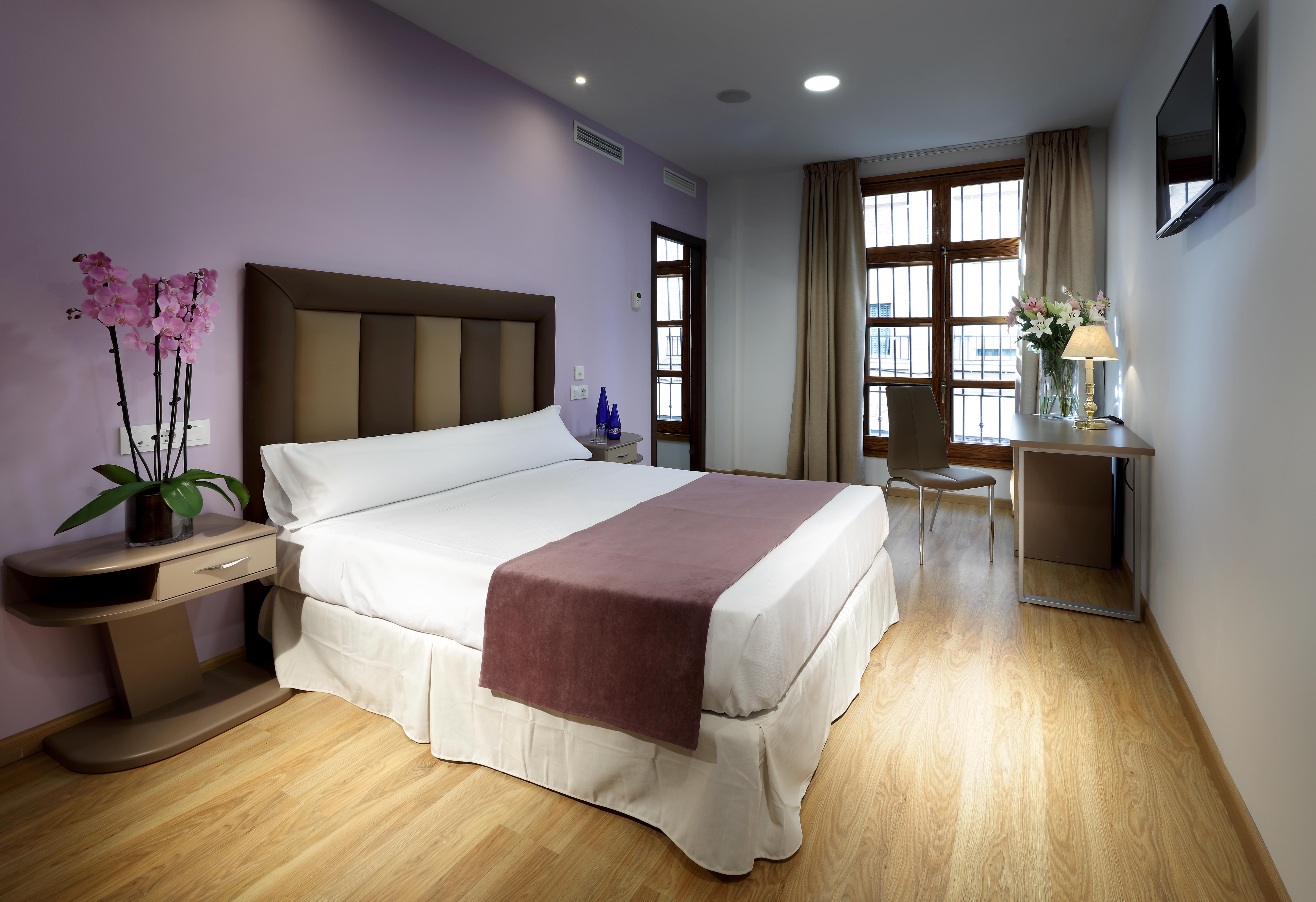 Exe Triunfo Hotel Granada